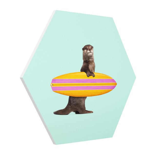 Forex hexagon - Otter With Surfboard