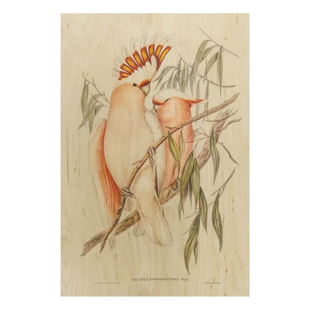 Print on wood - Vintage Illustration Galah