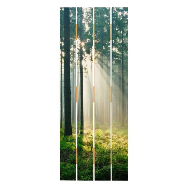 Print on wood - Enlightened Forest