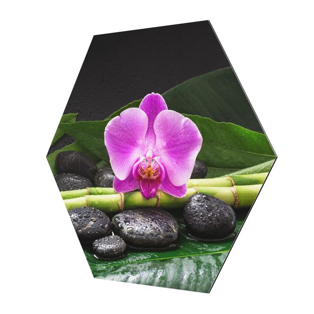 Alu-Dibond hexagon - Green Bamboo With Orchid Flower