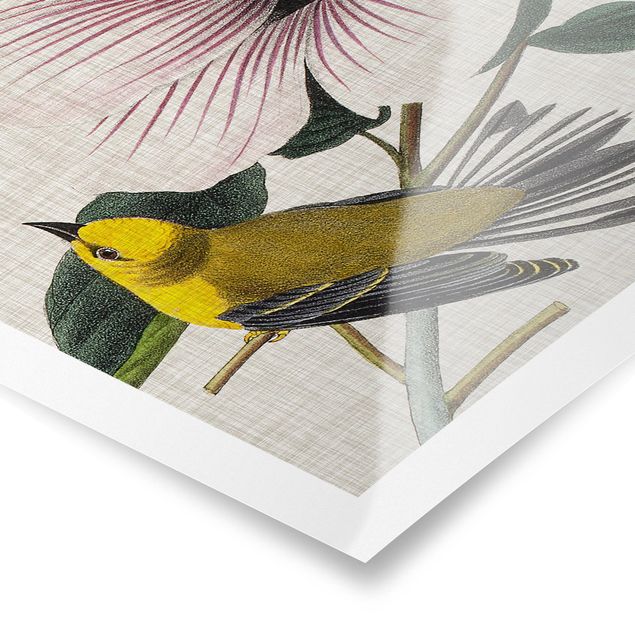 Poster - Bird On Linen Yellow I