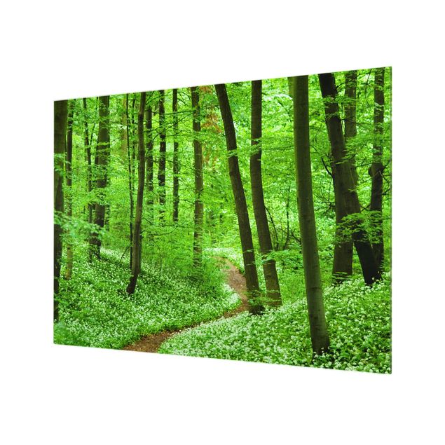 Glass Splashback - Romantic Forest Track - Landscape 3:4