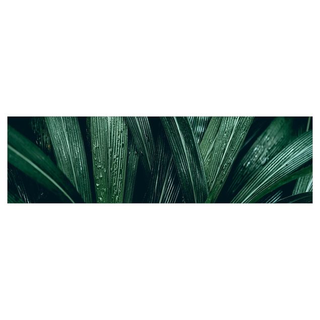 Kitchen wall cladding - Green Palm Leaves