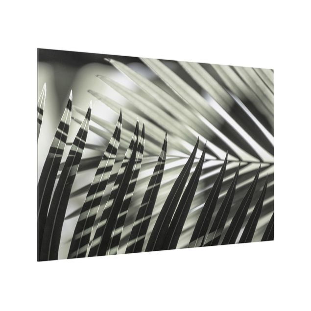 Glass splashback kitchen Interplay Of Shaddow And Light On Palm Fronds