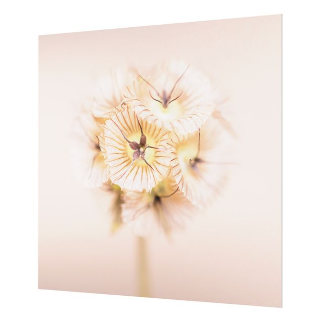 Splashback - Pastel Bouquet of Flowers II - Square 1:1