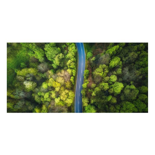 Splashback - Aerial View - Asphalt Road In The Forest