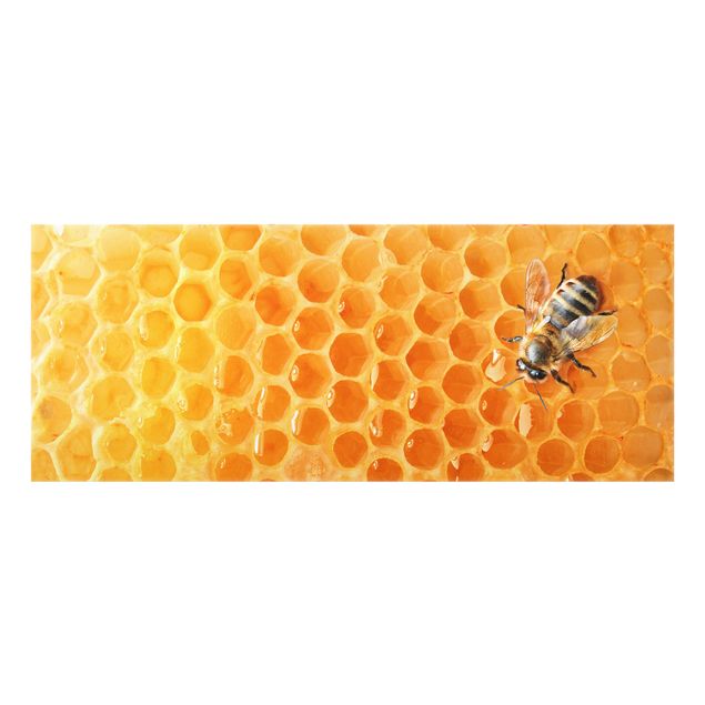 Splashback - Honey Bee