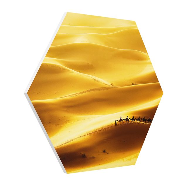 Forex hexagon - Golden Dunes