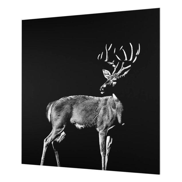 Glass Splashback - Deer In The Dark - Square 1:1