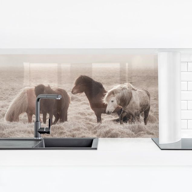 Kitchen wall cladding - Wild Icelandic Horse