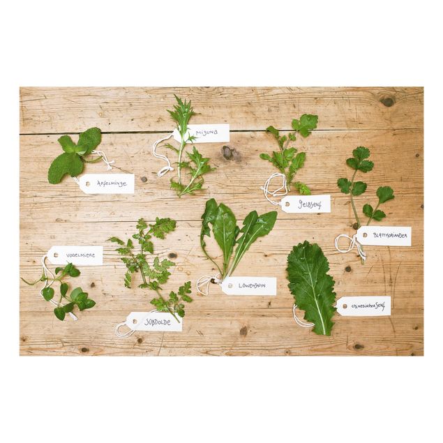 Splashback - Herbs With Labeling