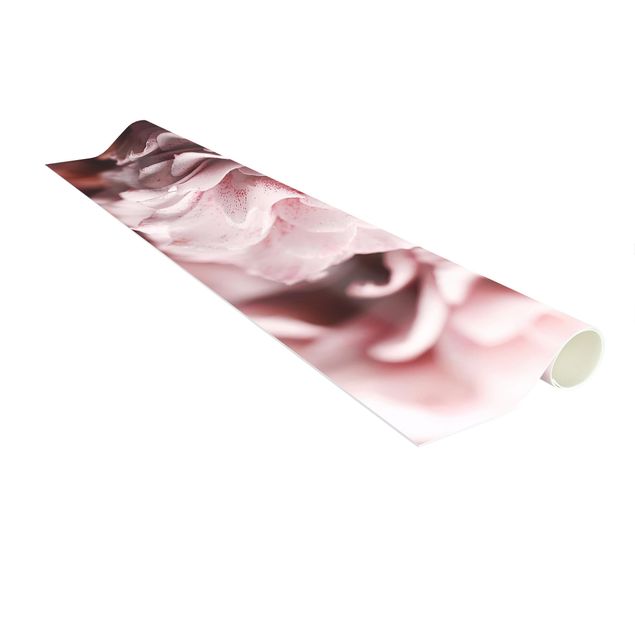 Modern rugs Shabby Light Pink Rose Pastel