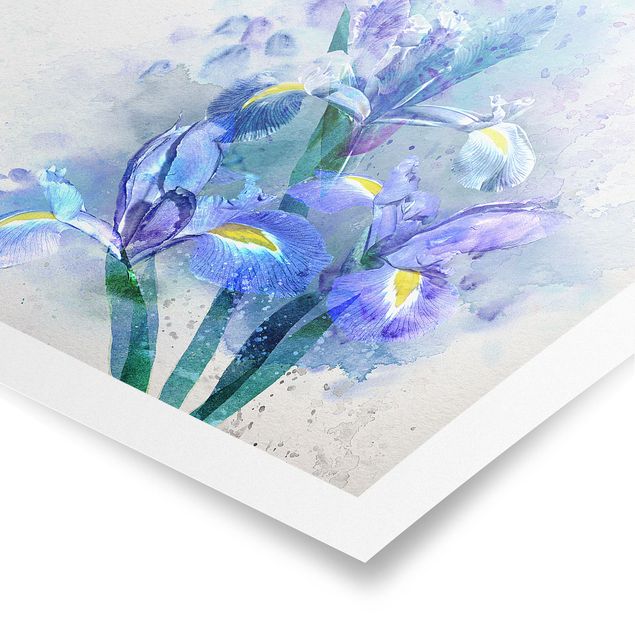 Poster - Watercolour Flowers Iris