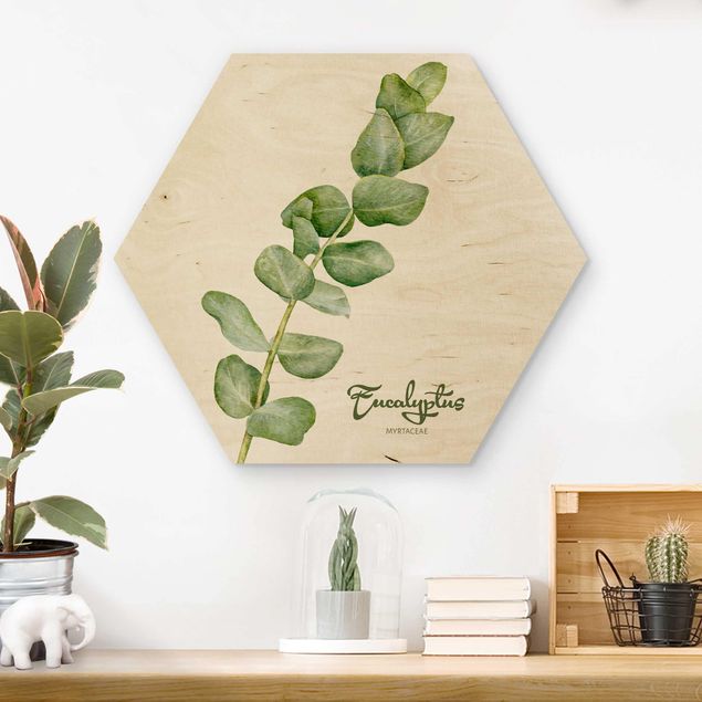 Wooden hexagon - Watercolour Botany Eucalyptus