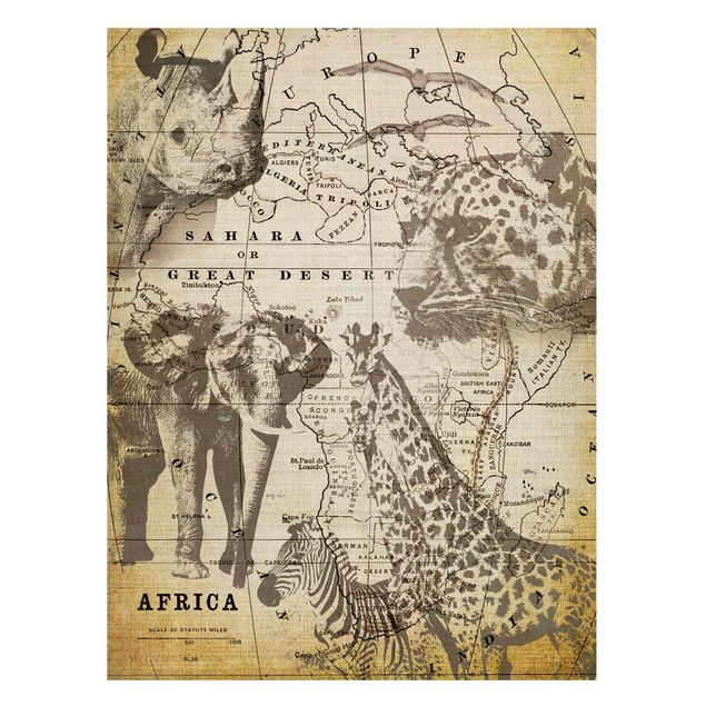 Magnetic memo board - Vintage Collage - Africa Wildlife