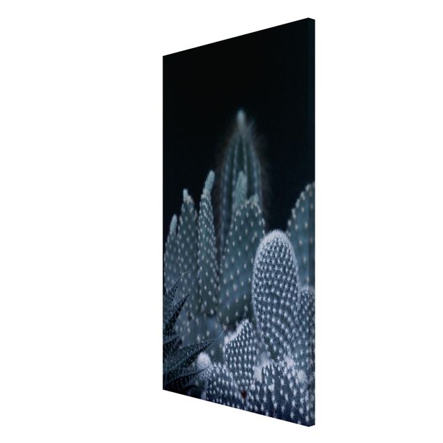 Magnetic memo board - Familiy Of Cacti At Night