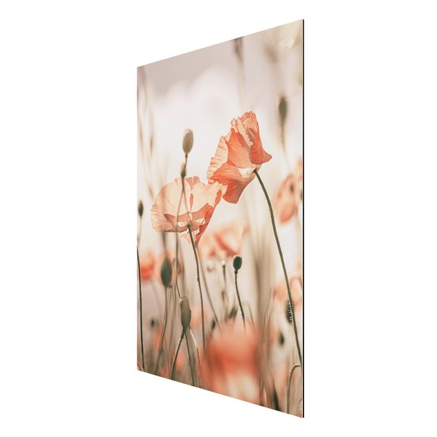 Print on aluminium - Poppy Flowers In Summer Breeze