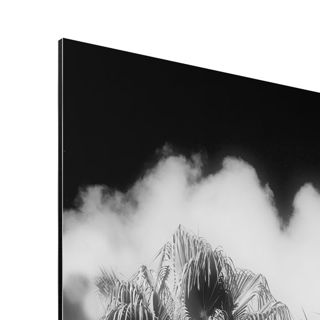 Print on aluminium - Palm Trees Against The Sky Black And White