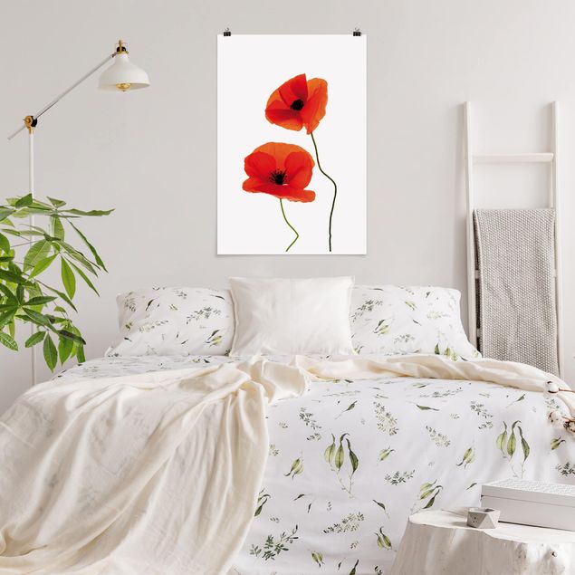 Poster - Charming Poppies