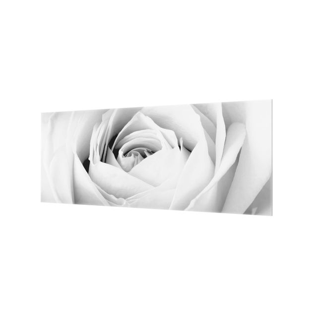 Splashback - Close Up Rose