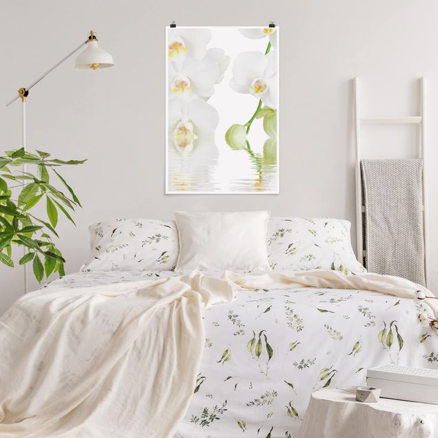 Poster flowers - Spa Orchid - White Orchid
