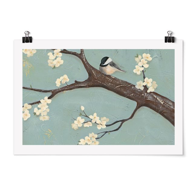 Poster - Titmouse On Cherry