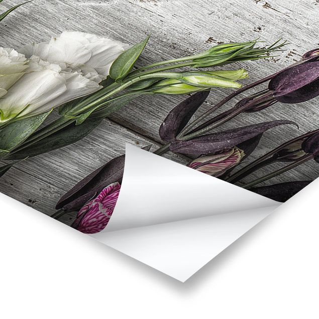 Panoramic poster flowers - Tulip Rose Shabby Wood Look