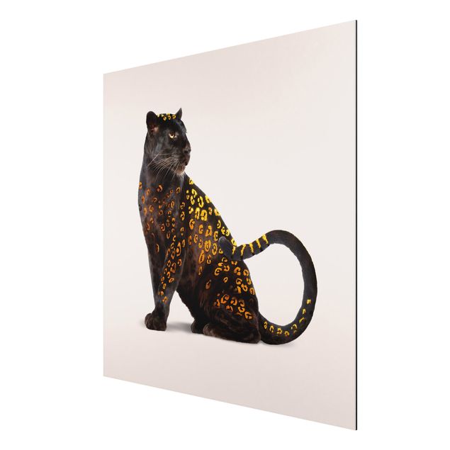 Print on aluminium - Golden Panthers