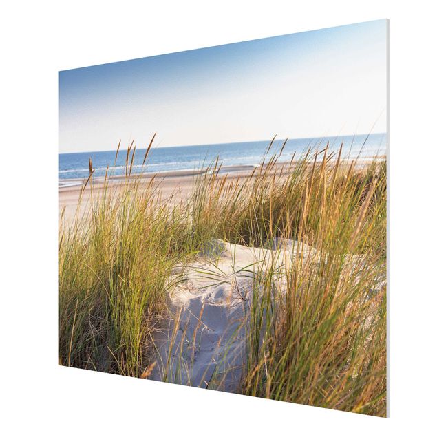 Print on forex - Beach Dune At The Sea