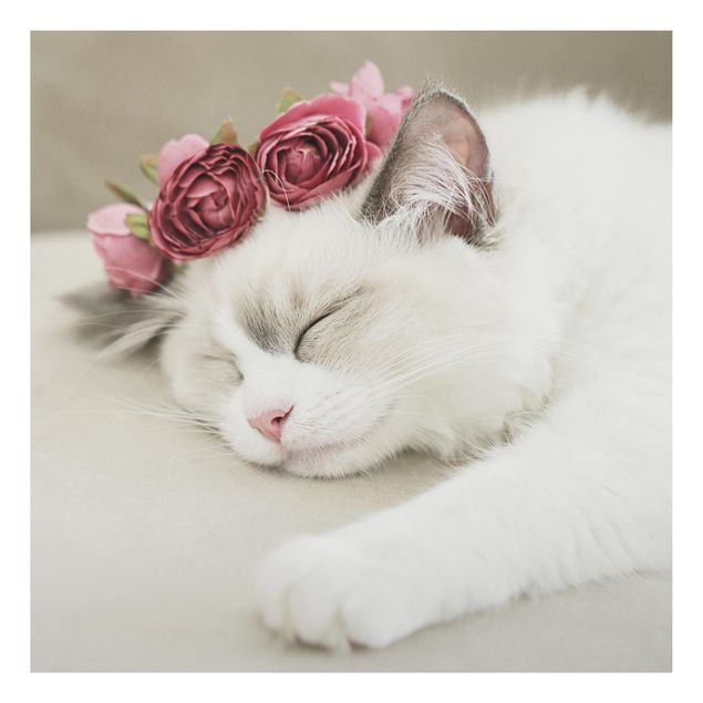 Print on aluminium - Sleeping Cat with Roses