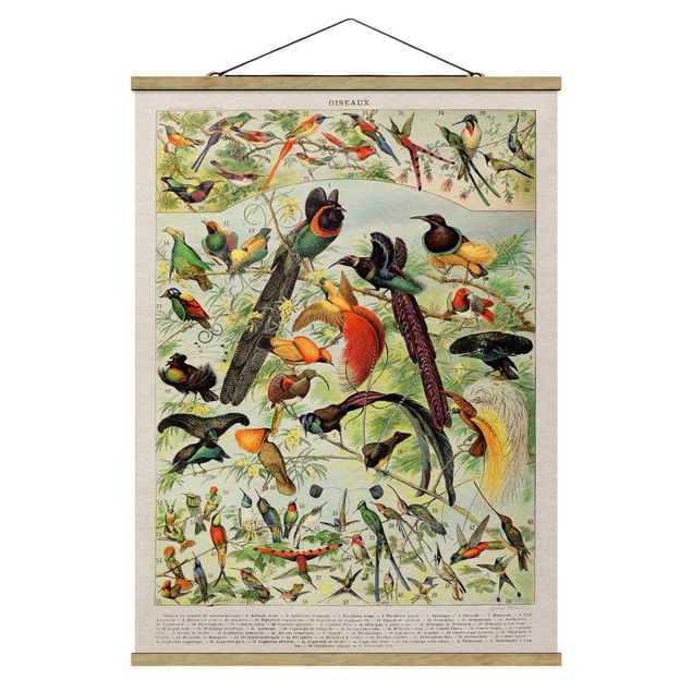 Fabric print with poster hangers - Vintage Board Birds Of Paradise