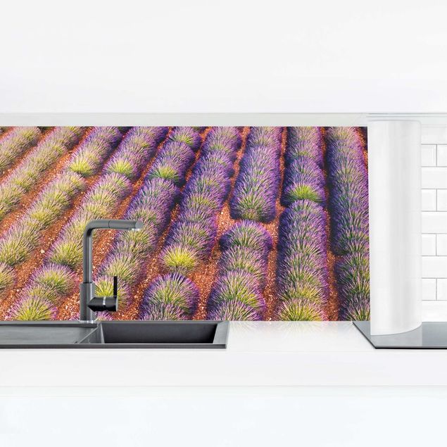 Kitchen splashbacks Picturesque Lavender Field