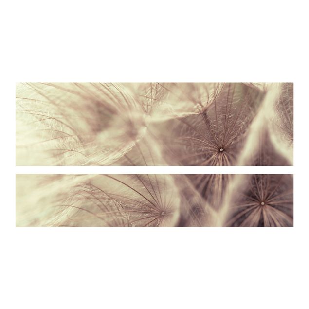 Adhesive film for furniture IKEA - Malm bed 140x200cm - Detailed Dandelion Macro Shot With Vintage Blur Effect
