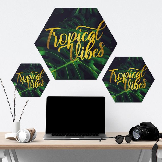 Forex hexagon - Jungle - Tropical Vibes