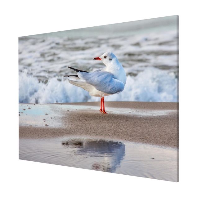 Magnetic memo board - Seagull On The Beach In Front Of The Sea