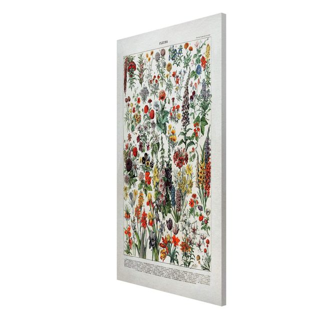 Magnetic memo board - Vintage Board Flowers IV