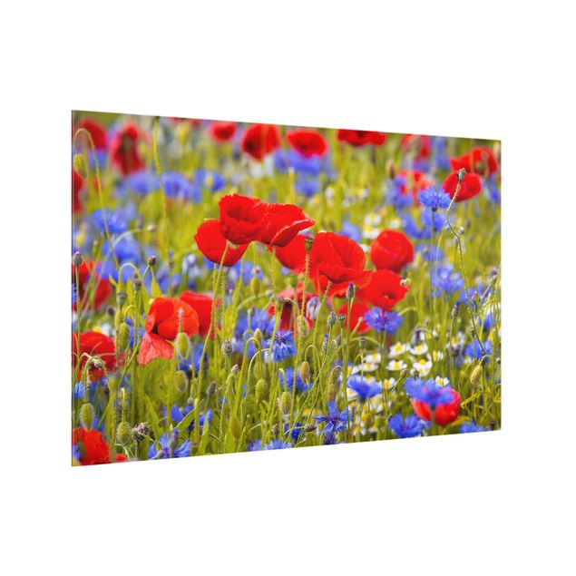 Glass splashback Summer Meadow With Poppies And Cornflowers