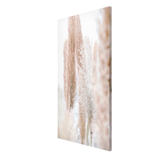 Magnetic memo board - Pampas Grass In White Light