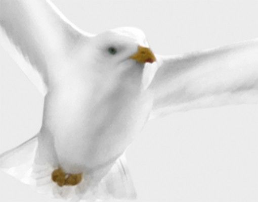 Window sticker - Flying Gull