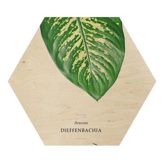 Wooden hexagon - Tropical Leaf Dieffenbachia