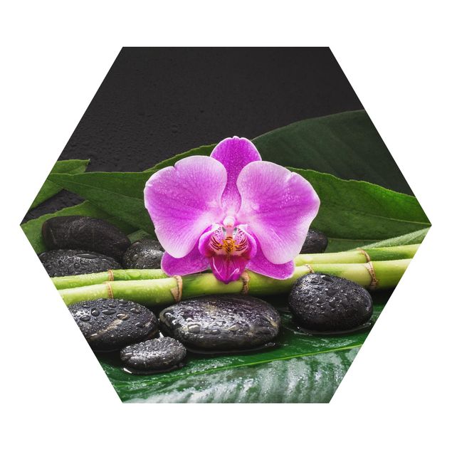 Alu-Dibond hexagon - Green Bamboo With Orchid Flower