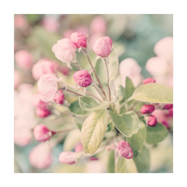 nature mats Apple Blossom Bokeh Light Pink