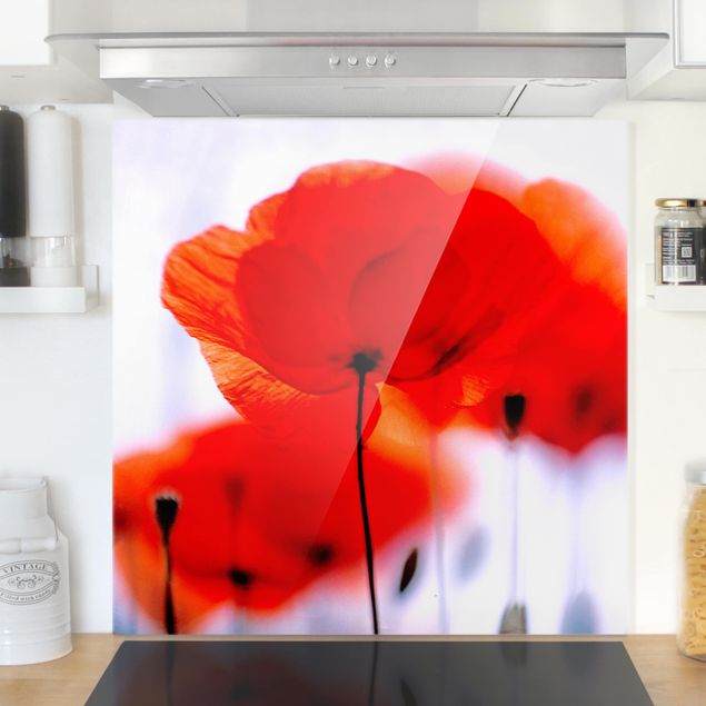 Glass splashback kitchen flower Magic Poppies