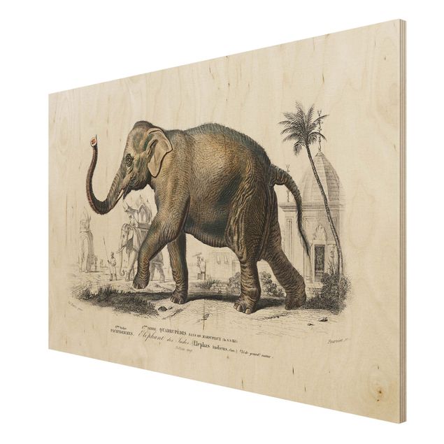 Print on wood - Vintage Board Elephant