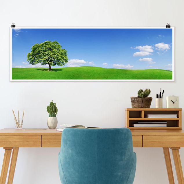 Panoramic poster nature & landscape - Panoramic