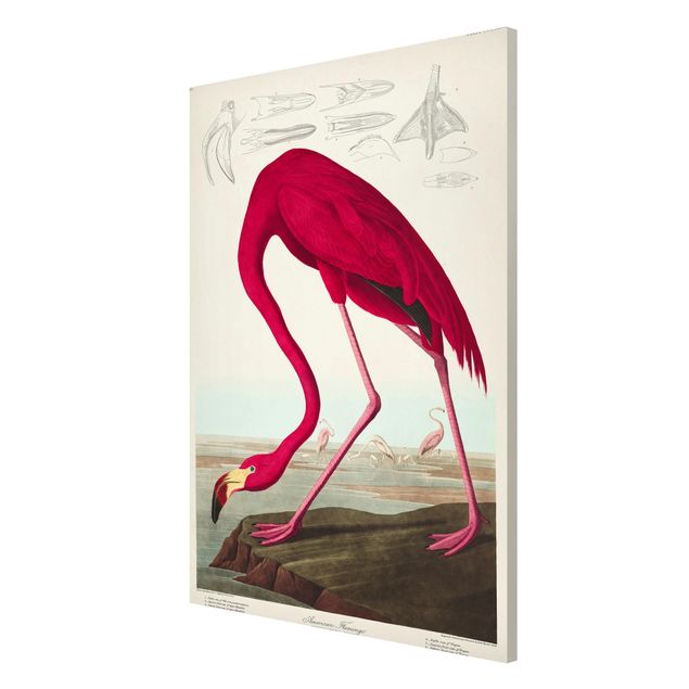 Magnetic memo board - Vintage Board American Flamingo