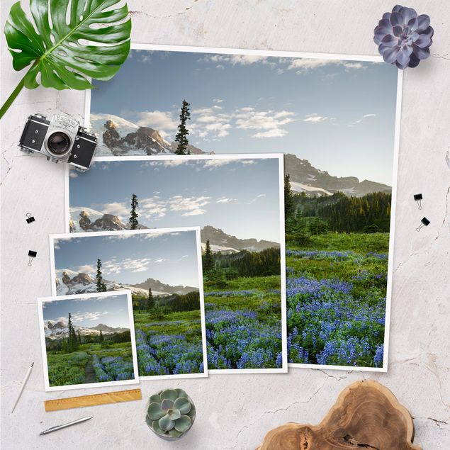 Poster - Mountain View Meadow Path