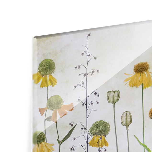 Glass Splashback - Delicate Helenium Flowers - Landscape 3:4