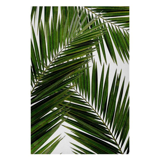 Magnetic memo board - View Through Green Palm Leaves