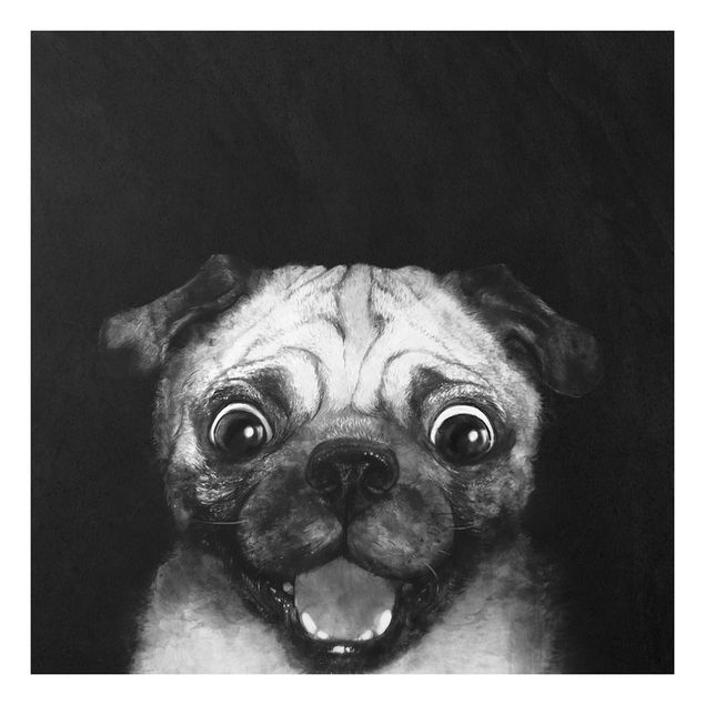 Print on forex - Illustration Dog Pug Painting On Black And White